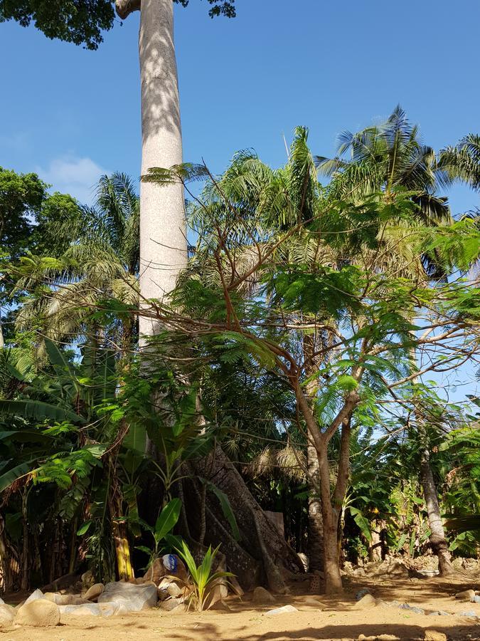 Ahanta Eco Lodge Busua Exterior photo